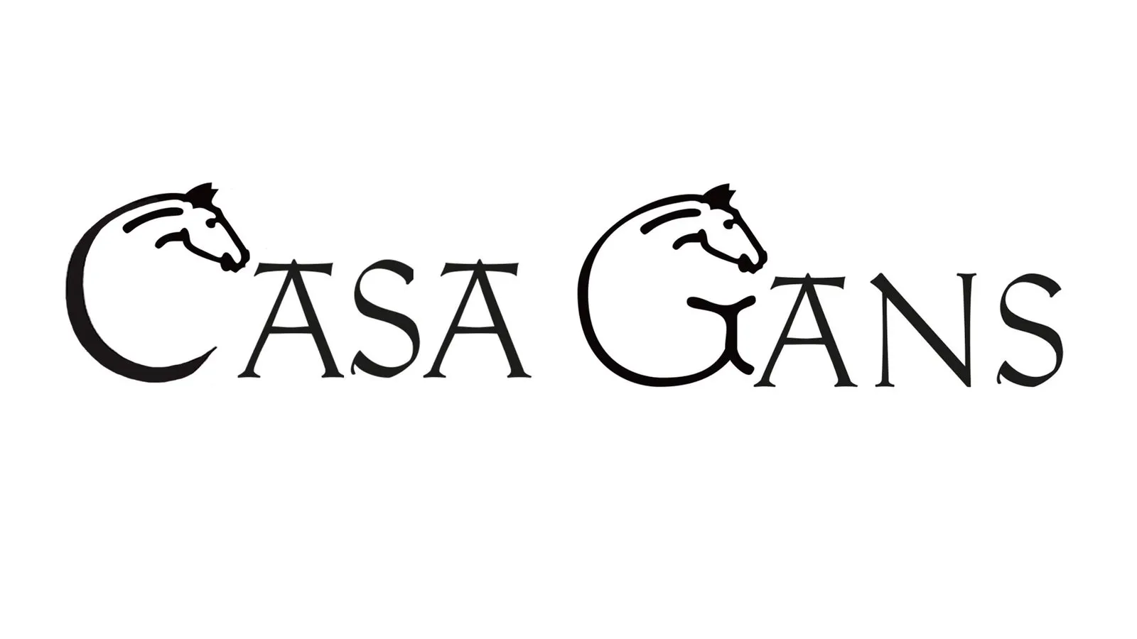 Casa Gans